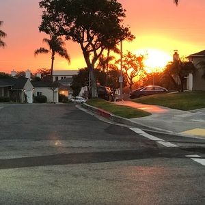 Meet your Posher, Sean